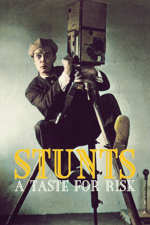 Movie poster for Stunts: A Taste for Risk (2023)