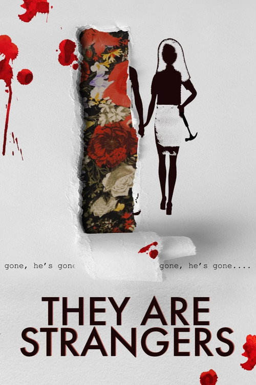 Movie poster for They Are Strangers (2018)