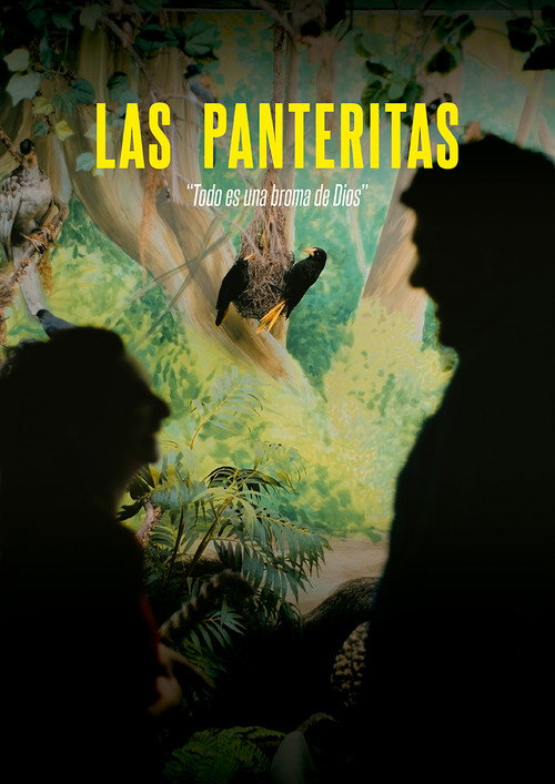 Movie poster for The Little Panthers (2025)