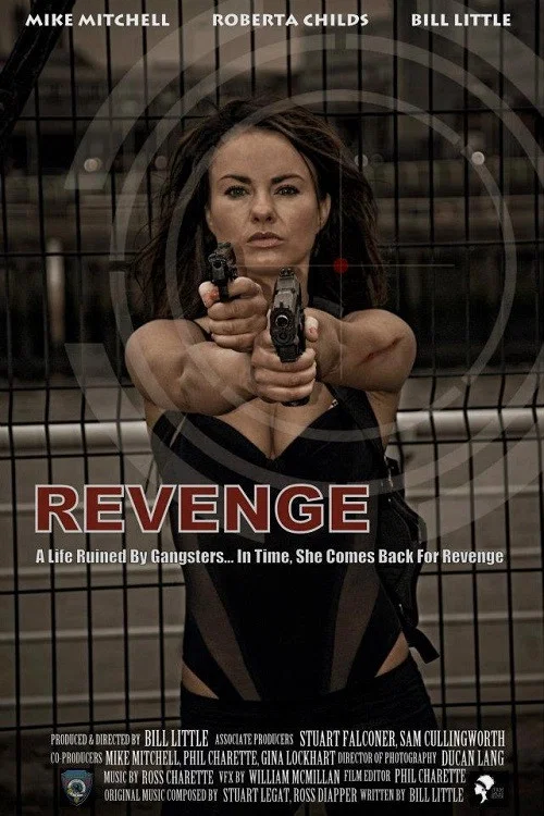Movie poster for Revenge (2011)