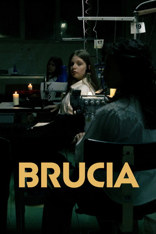Movie poster for Brucia (2024)