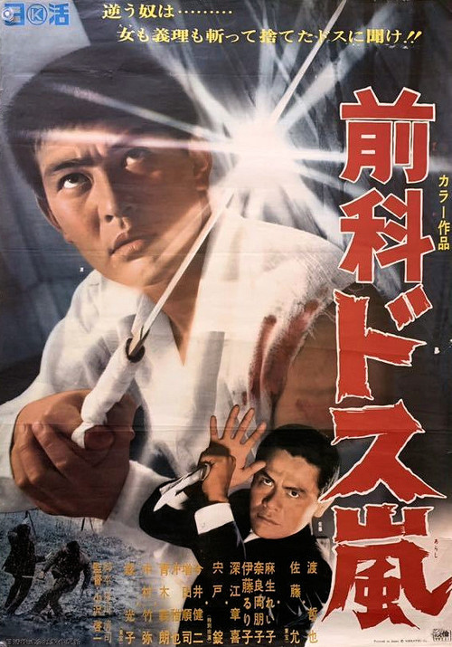 Movie poster for Ex Convict: Sword Storm (1969)