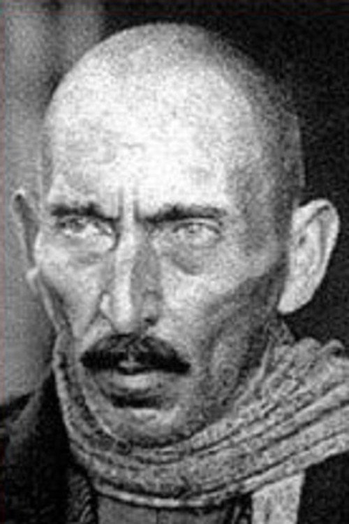 Photo of Ilia Mamporia, Acting