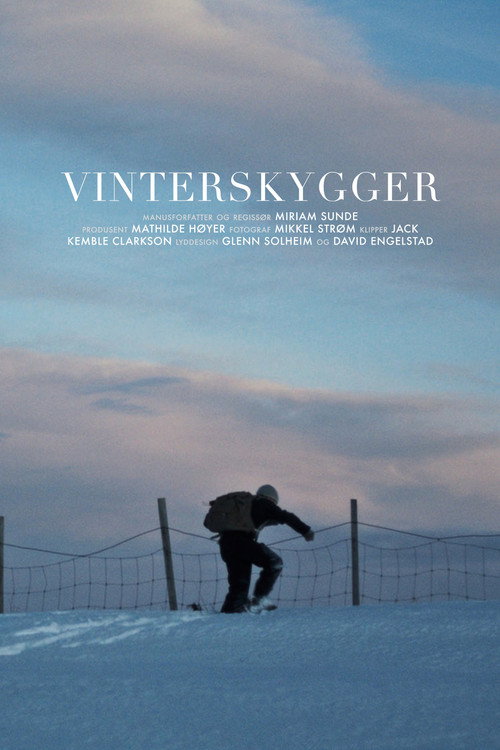 Movie poster for Winter Shadows (2022)