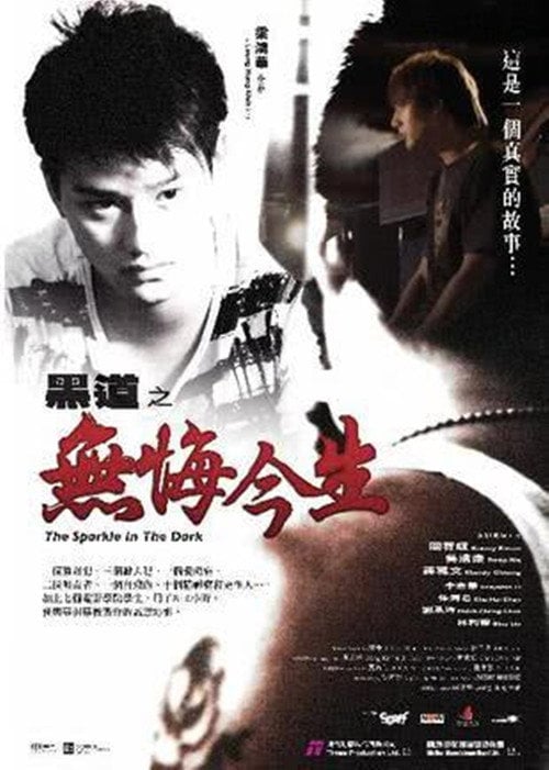 Movie poster for The Sparkle in the Dark (2007)