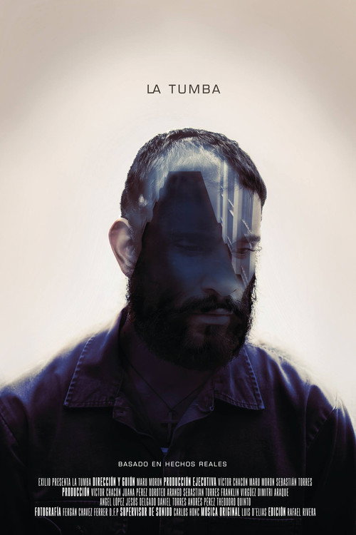 Movie poster for The Tomb (2015)