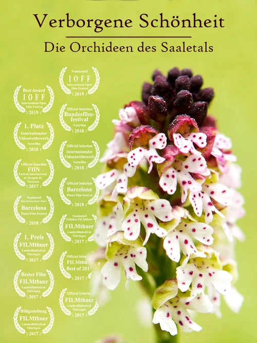Movie poster for Hidden Beauty - The Orchids of the Saale Valley (2017)