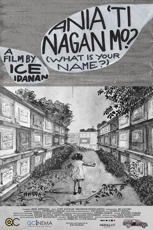 Movie poster for What is Your Name? (2017)