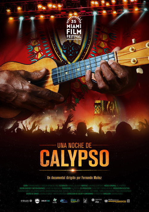 Movie poster for A Night of Calypso (2018)