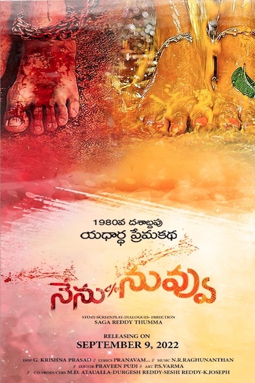 Movie poster for Nenu C/o Nuvvu (2022)
