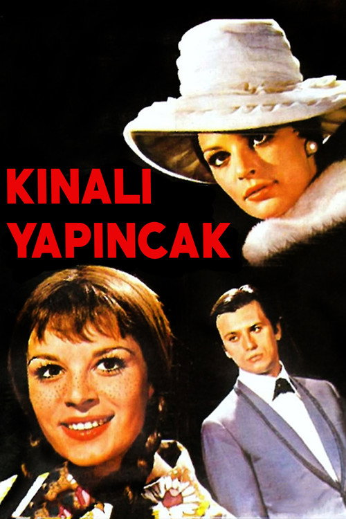 Movie poster for Kınalı Yapıncak (1969)