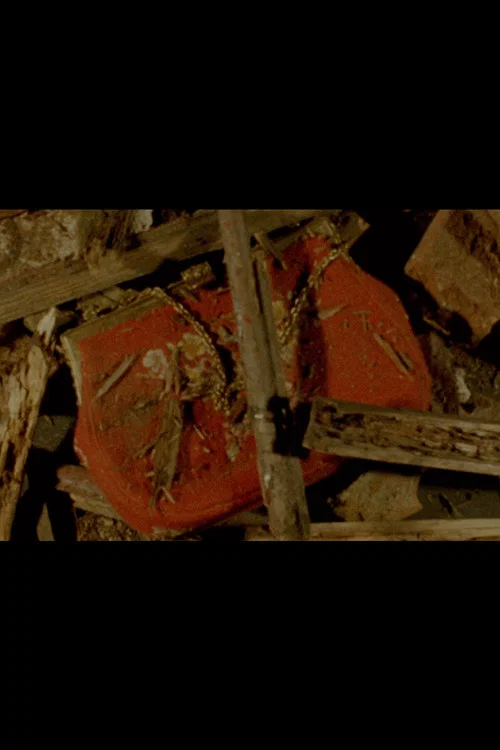 Movie poster for The Red Purse (2017)