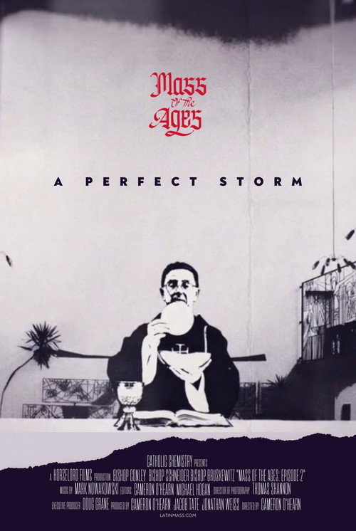 Movie poster for Mass of the Ages: A Perfect Storm (2022)
