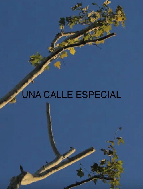 Movie poster for Una Calle Especial (2019)