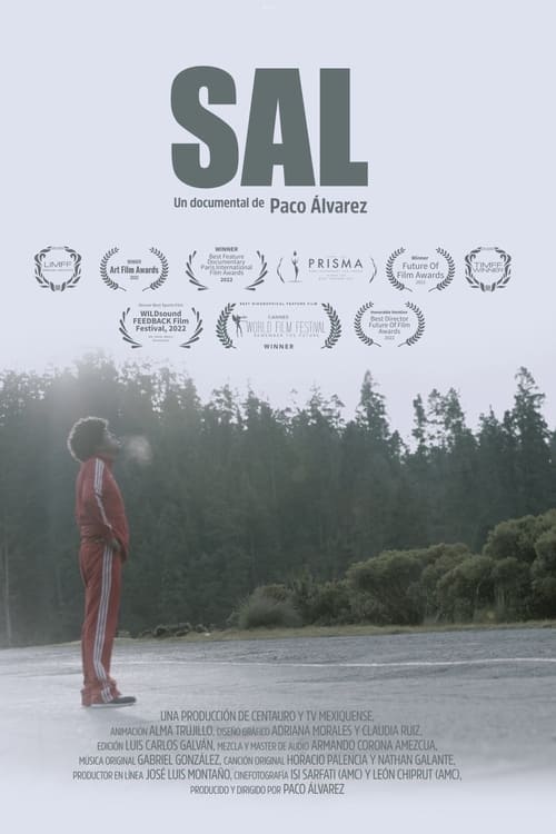 Movie poster for Sal (2022)