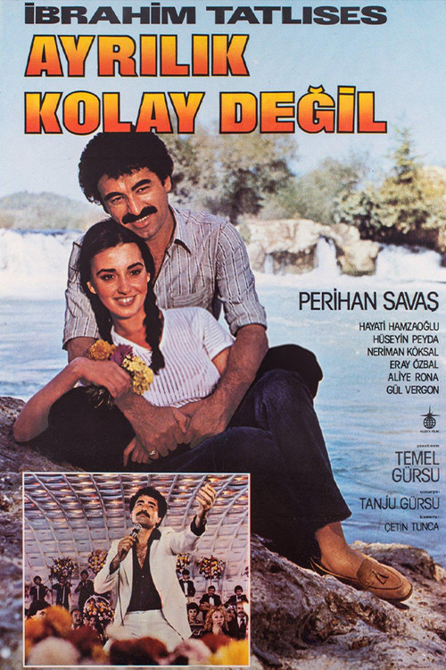 Movie poster for Ayrılık Kolay Değil (1980)