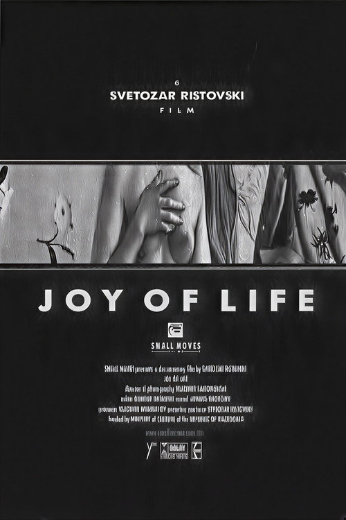 Movie poster for Joy of Life (2001)