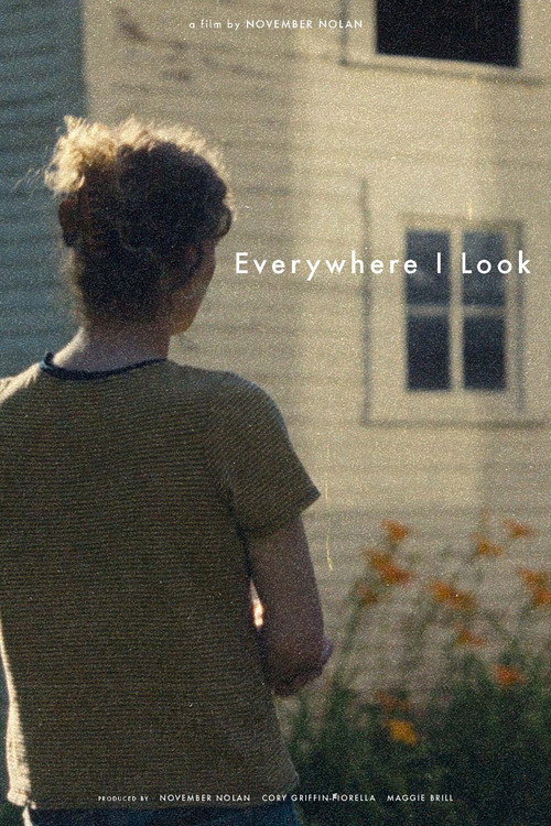 Movie poster for Everywhere I Look (2025)