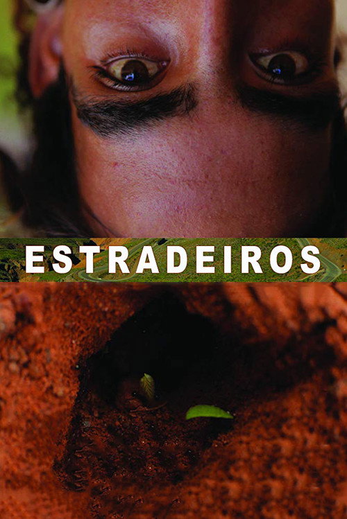 Movie poster for Wanderers (2011)