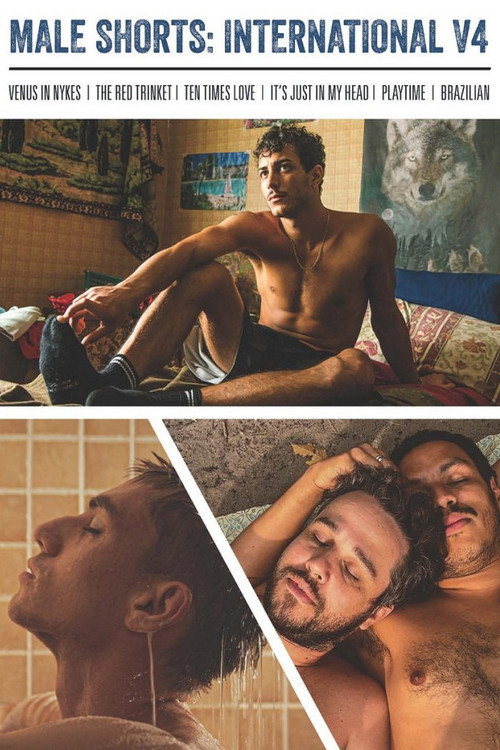 Movie poster for Male Shorts: International V4 (2022)