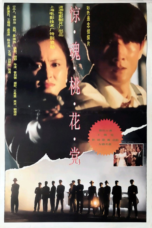 Movie poster for 惊魂桃花党 (1994)