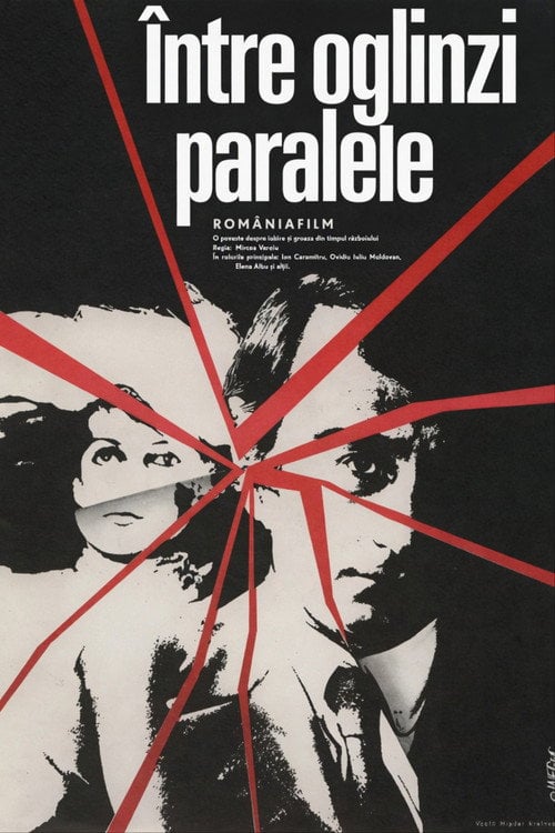 Movie poster for Between parallel mirrors (1979)