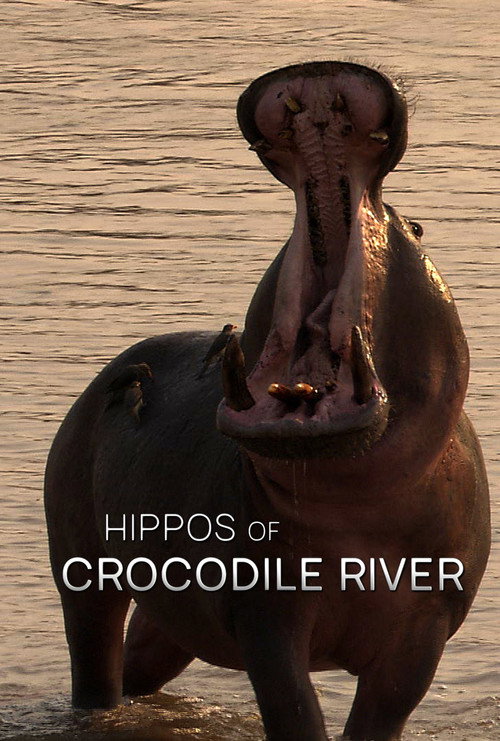 Movie poster for Hippos of Crocodile River (2020)