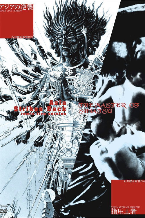 Movie poster for Asia Strikes Back (1983)