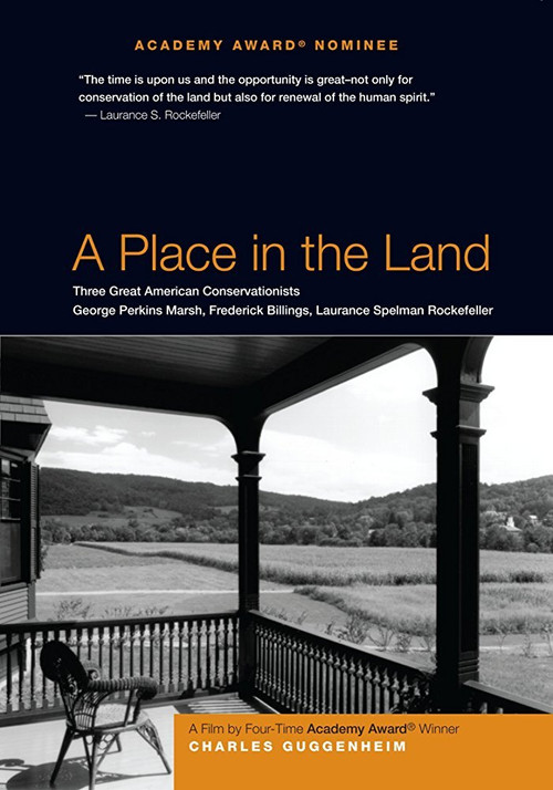 Movie poster for A Place in the Land (1998)