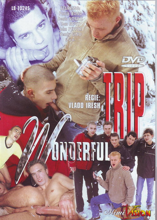 Movie poster for Wonderful Trip (2004)