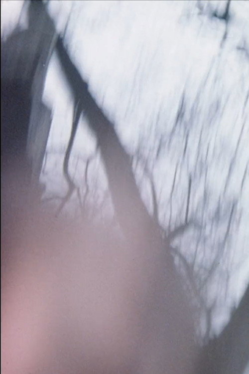 Movie poster for Sensitométrie IV (1976)