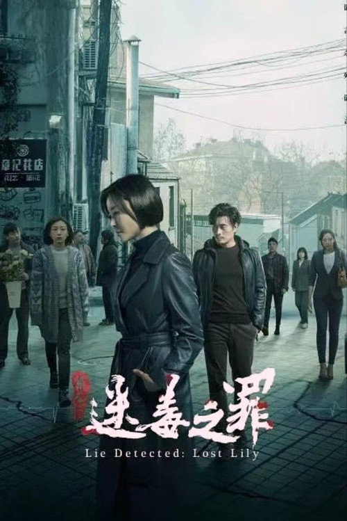 Movie poster for Lie Detected: Lost Lily (2024)