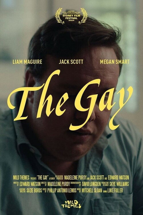 Movie poster for The Gay (2024)