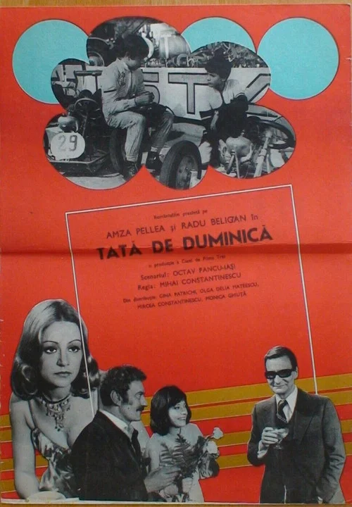 Movie poster for Sunday Father (1975)
