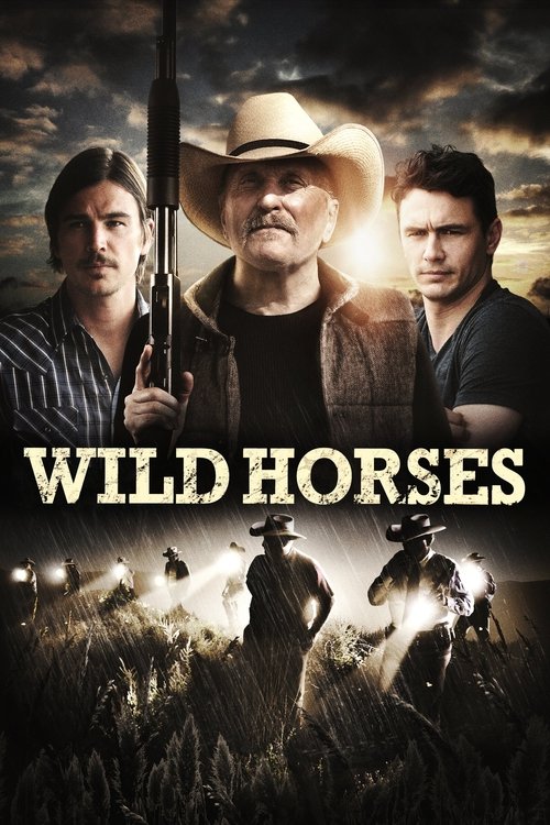 Movie poster for Wild Horses (2015)