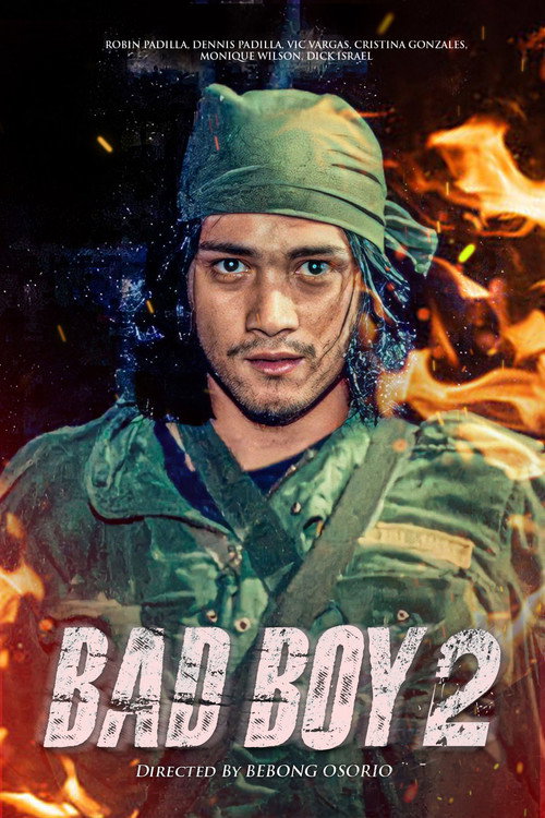 Movie poster for Bad Boy II (1992)