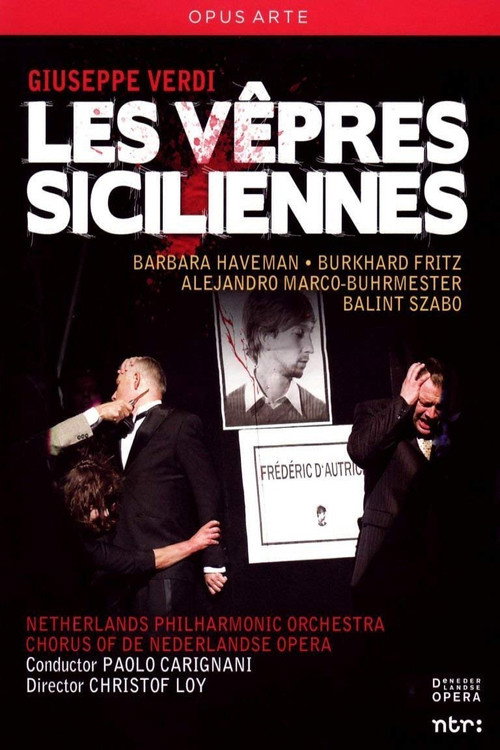 Movie poster for The Sicilian Vespers (2010)
