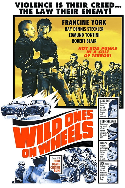 Movie poster for Wild Ones on Wheels (1962)
