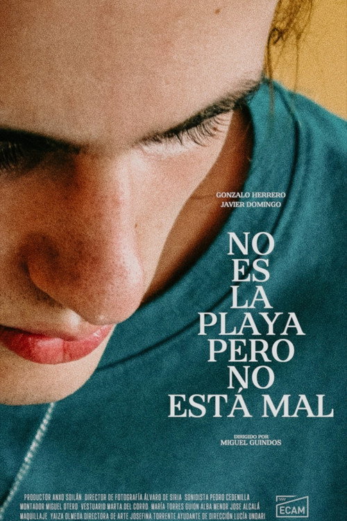 Movie poster for Not the Beach But It's Not That Bad (2020)