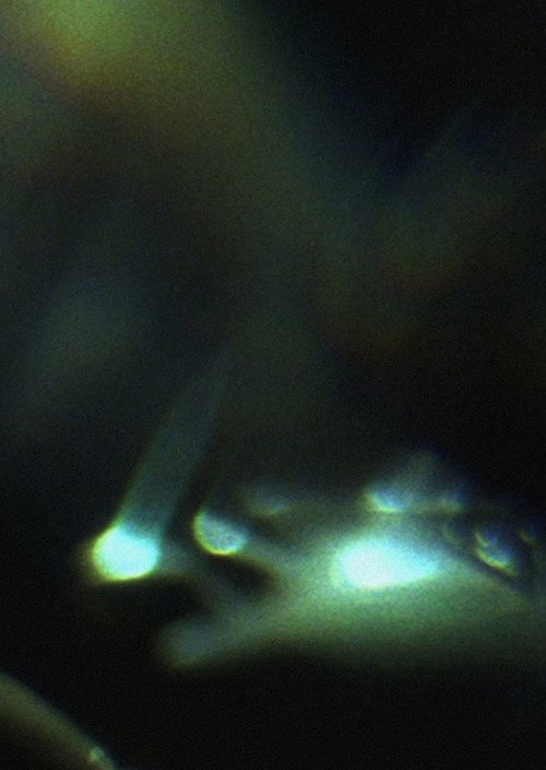 Movie poster for Prisms (2012)