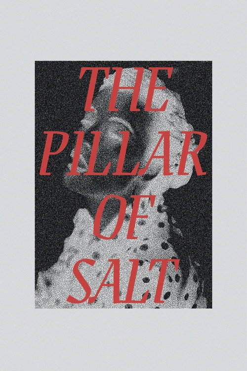 Movie poster for The Pillar of Salt (2018)