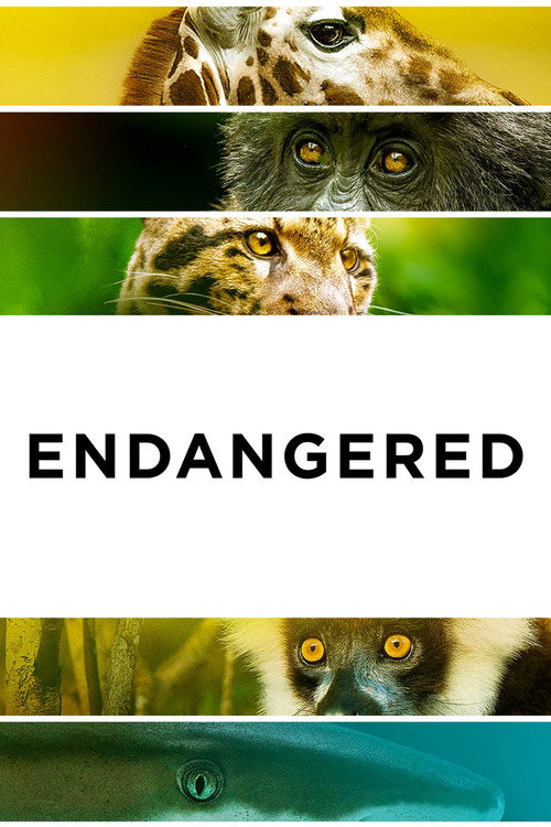 Movie poster for Endangered (2021)