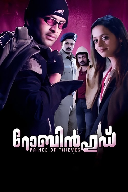 Movie poster for Robin Hood (2009)