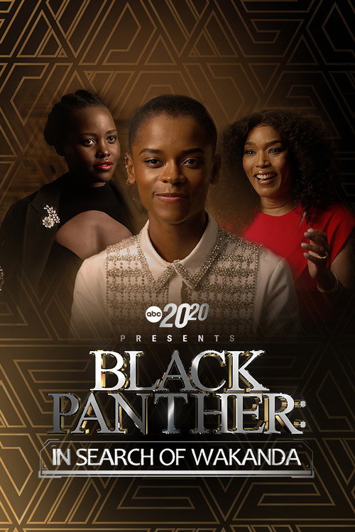 Movie poster for 20/20 Presents Black Panther: In Search of Wakanda (2022)