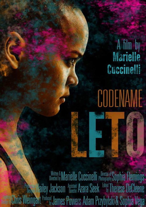 Movie poster for Codename Leto