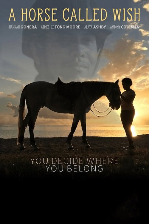Movie poster for A Horse Called Wish (2019)