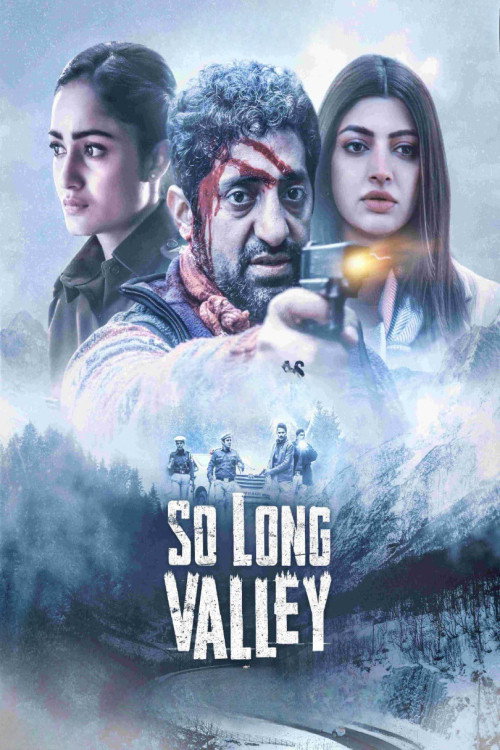 Movie poster for So Long Valley (2025)