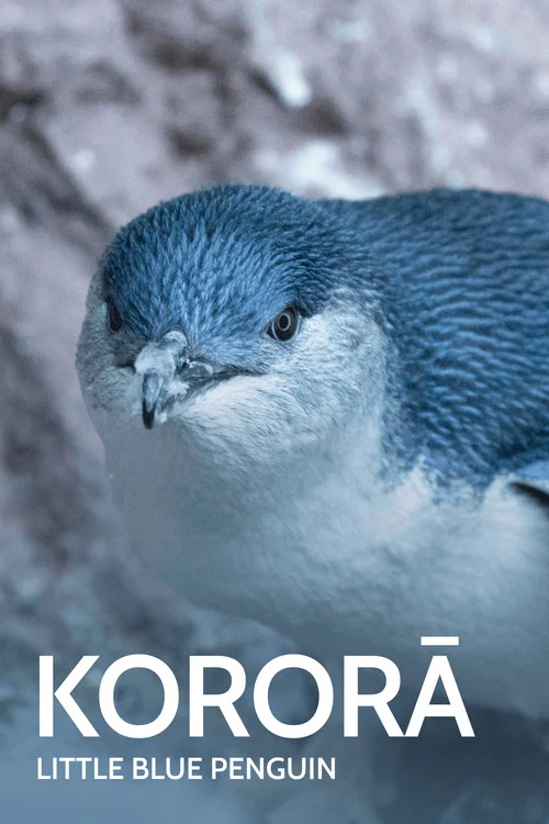 Movie poster for Kororā: Little Blue Penguin (2021)