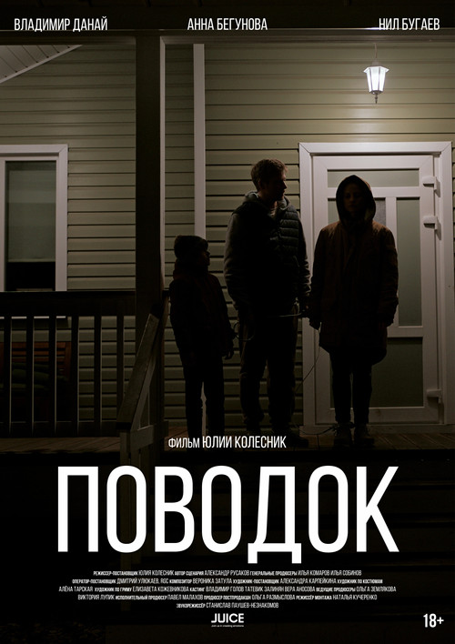 Movie poster for The Lead (2024)