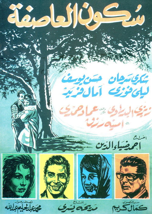 Movie poster for Stillness of the Storm (1965)